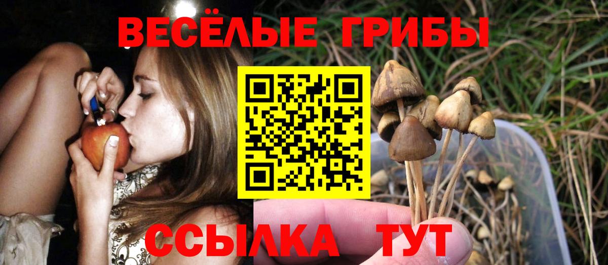 Псилоцибиновые грибы GOLDEN TEACHER  Вход с VPN  Ухта 
